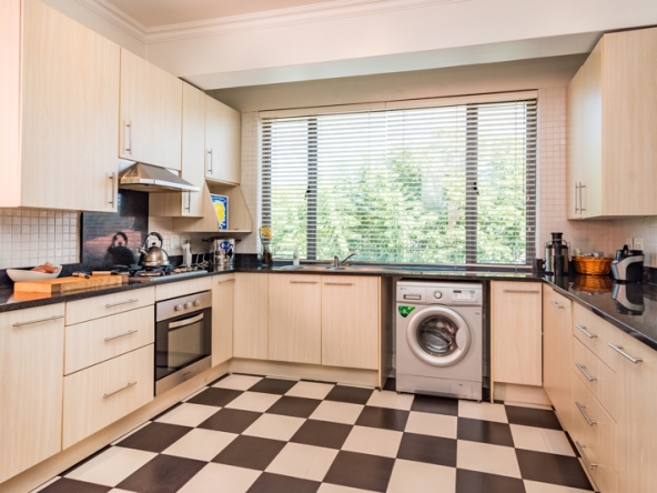 Shiny Dancer AS 2025- 009