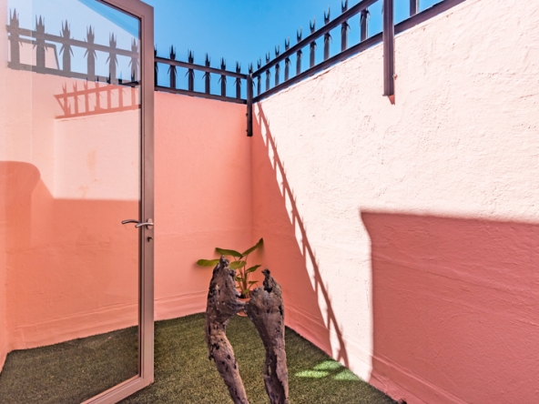 Shiny Dancer AS 2025- 016