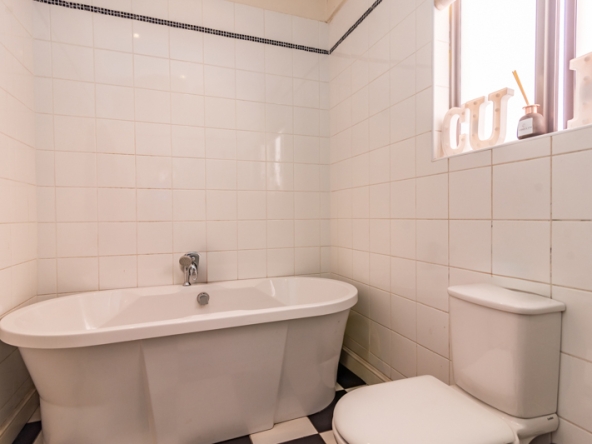 Shiny Dancer AS 2025- 019