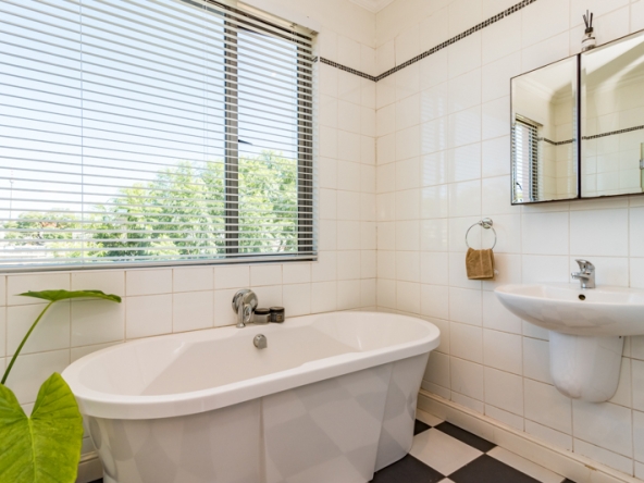 Shiny Dancer AS 2025- 025