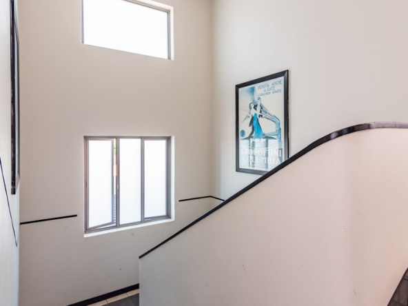 Shiny Dancer AS 2025- 031