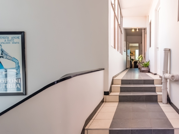 Shiny Dancer AS 2025- 032