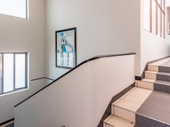 Shiny Dancer AS 2025- 033