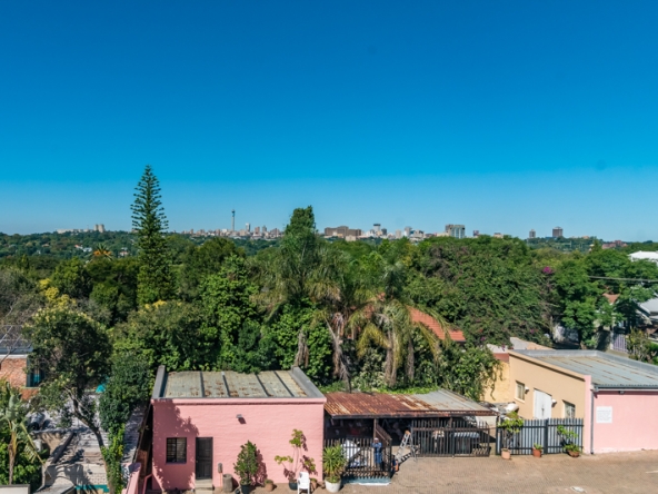 Shiny Dancer AS 2025- 041