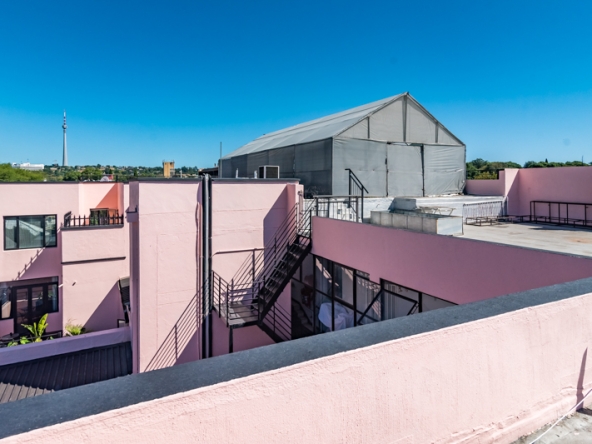 Shiny Dancer AS 2025- 042