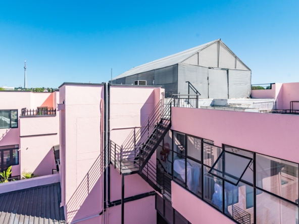 Shiny Dancer AS 2025- 043