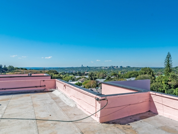 Shiny Dancer AS 2025- 045