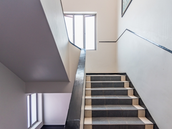 Shiny Dancer AS 2025- 052