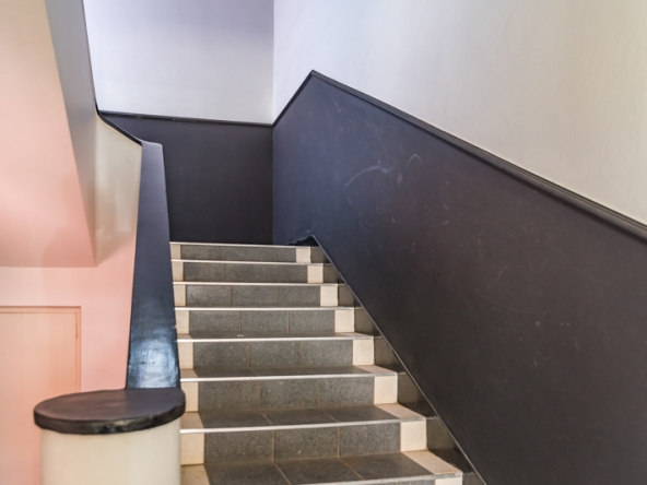 Shiny Dancer AS 2025- 054