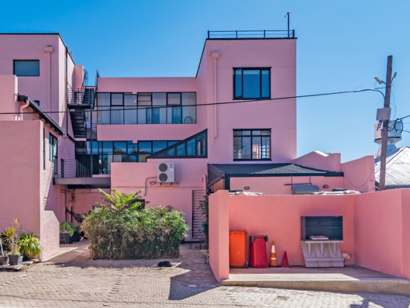 Shiny Dancer AS 2025- 058