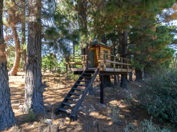 Trails End AS 2018-058