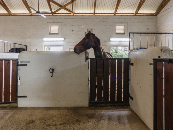 Gantouw Farm Stables AS 2025- 008