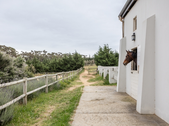 Gantouw Farm Stables AS 2025- 020