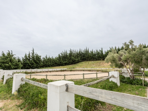 Gantouw Farm Stables AS 2025- 021