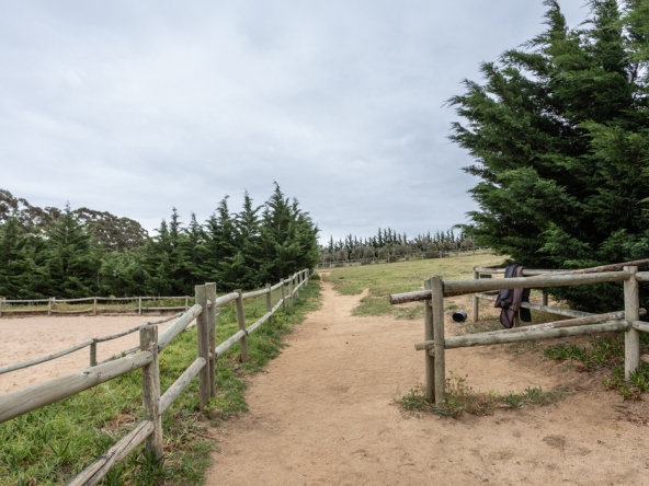 Gantouw Farm Stables AS 2025- 024