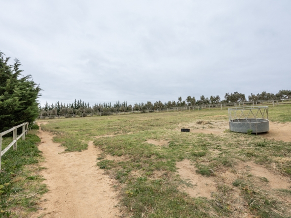 Gantouw Farm Stables AS 2025- 026