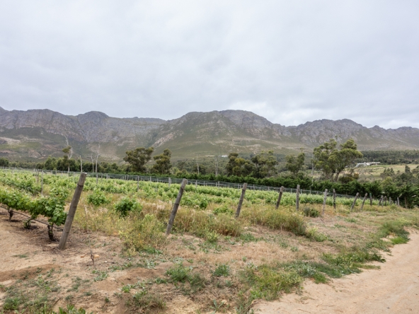 Gantouw Farm Stables AS 2025- 035