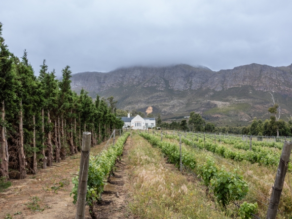 Gantouw Farm Stables AS 2025- 037