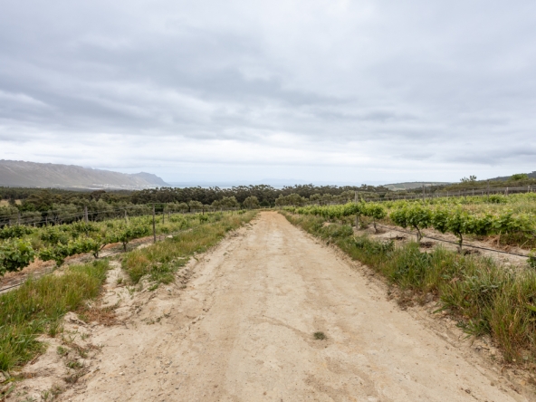 Gantouw Farm Stables AS 2025- 042