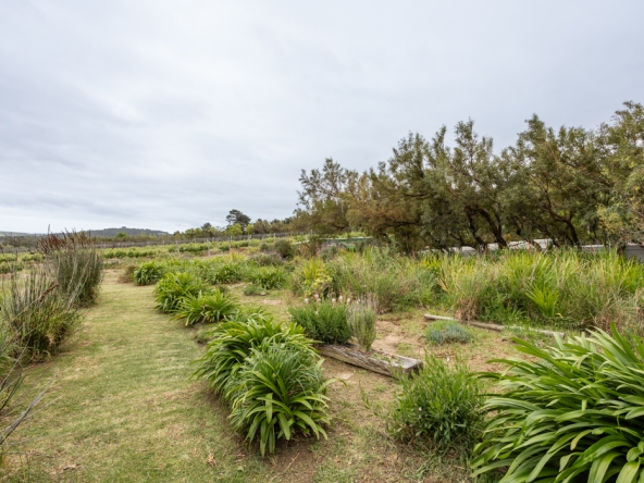 Gantouw Farm Stables AS 2025- 061
