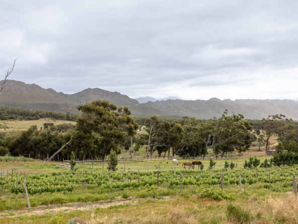 Gantouw Farm Stables AS 2025- 062