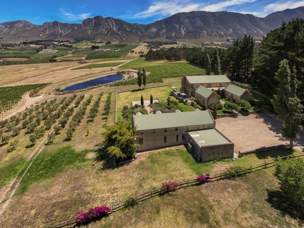 008-2025 AS Moyas Vineyard