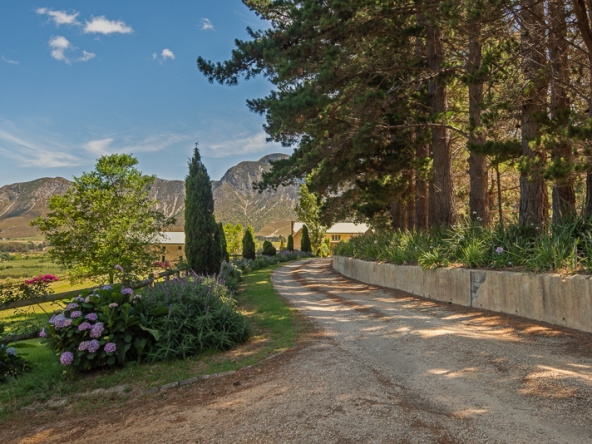 010-2025 AS Moyas Vineyard