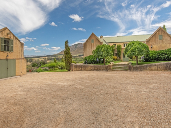 013-2025 AS Moyas Vineyard