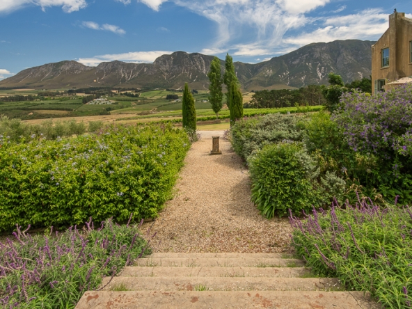 016-2025 AS Moyas Vineyard