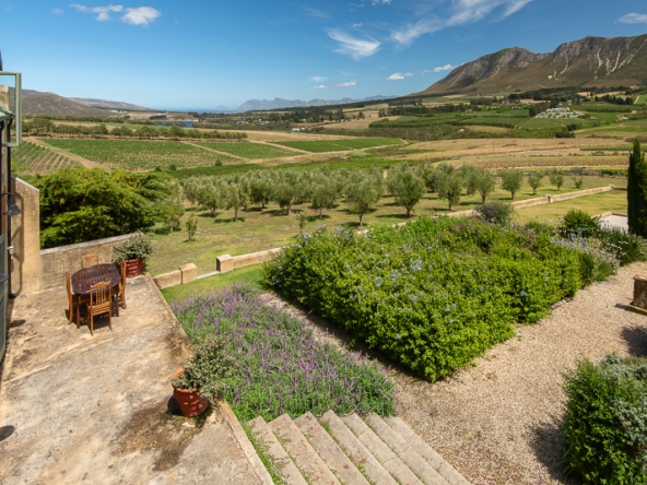 029-2025 AS Moyas Vineyard