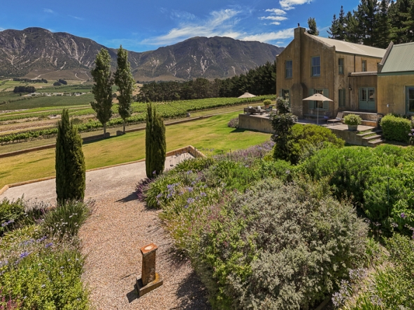 034-2025 AS Moyas Vineyard