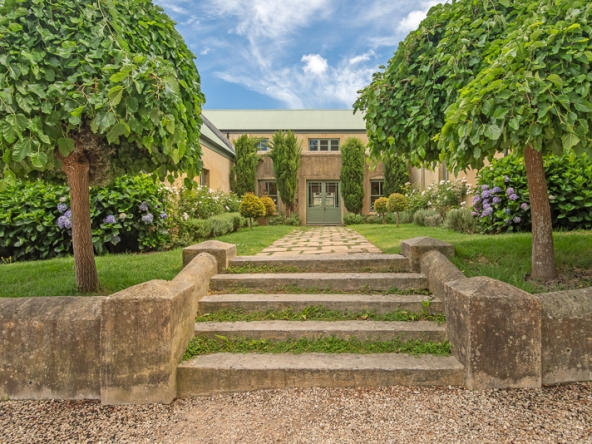 039-2025 AS Moyas Vineyard