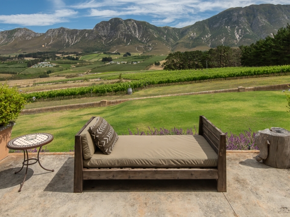 082-2025 AS Moyas Vineyard