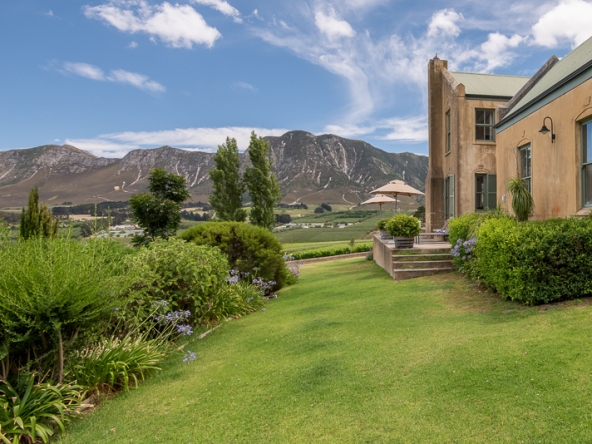 084-2025 AS Moyas Vineyard