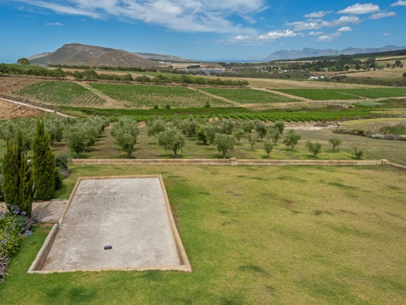 089-2025 AS Moyas Vineyard