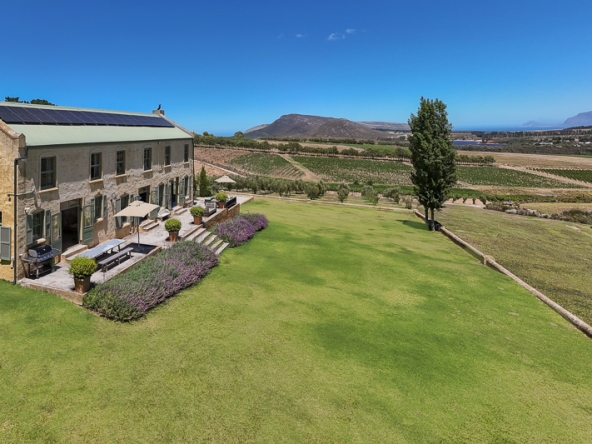 091-2025 AS Moyas Vineyard