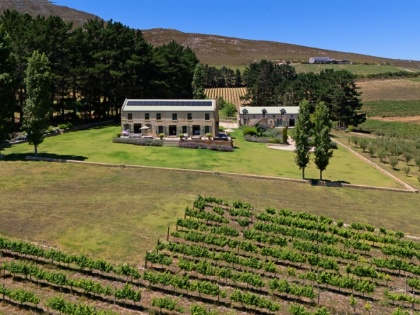 092-2025 AS Moyas Vineyard