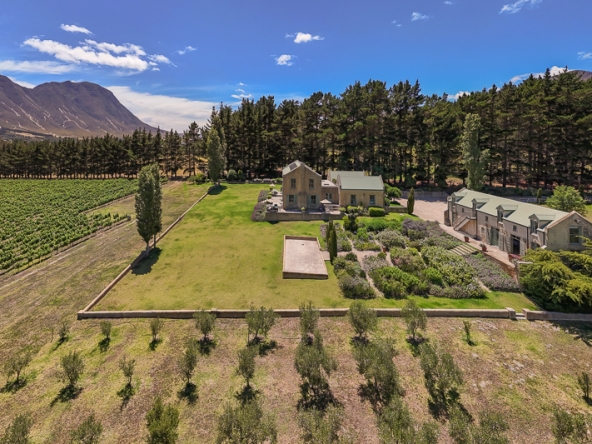 096-2025 AS Moyas Vineyard
