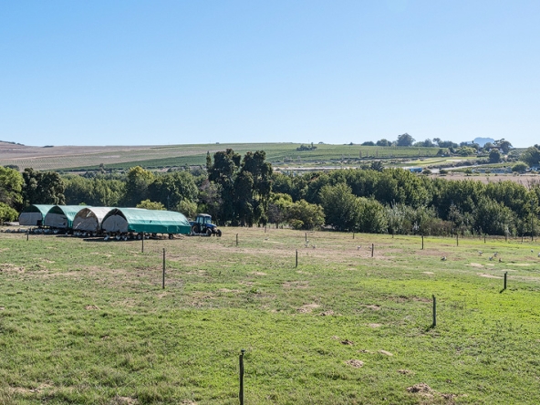 002-2026 AS Bluegum Grove