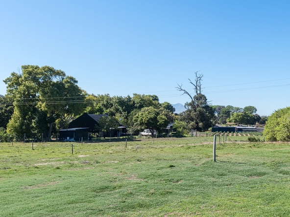 004-2026 AS Bluegum Grove