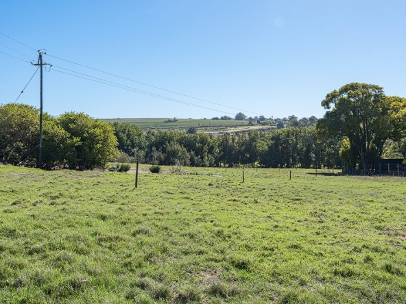 006-2026 AS Bluegum Grove