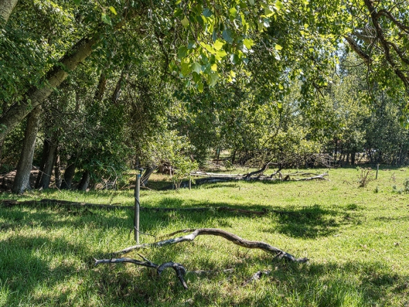 014-2026 AS Bluegum Grove