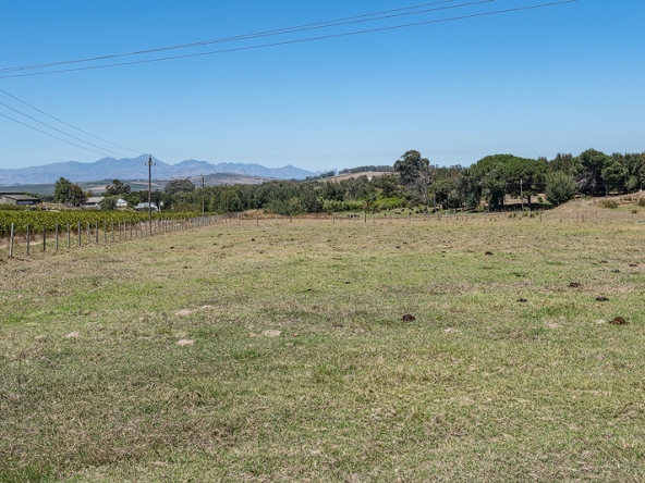 017-2026 AS Bluegum Grove