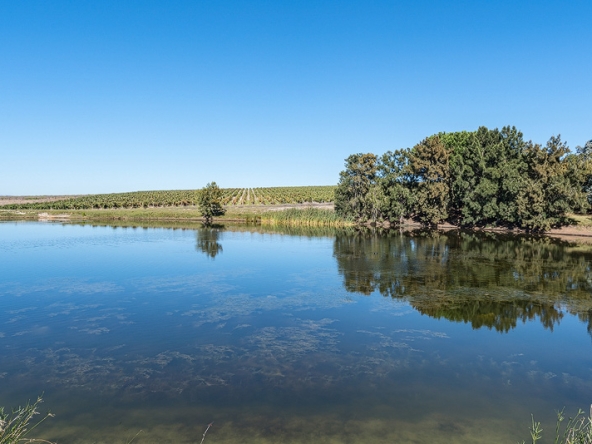 020-2026 AS Bluegum Grove