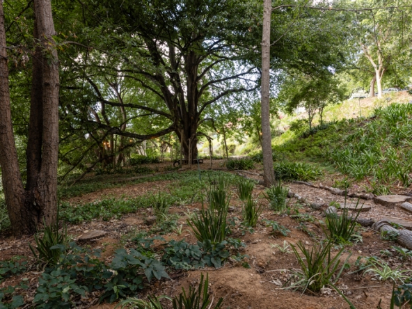 028-2026 AS Serenity Gardens