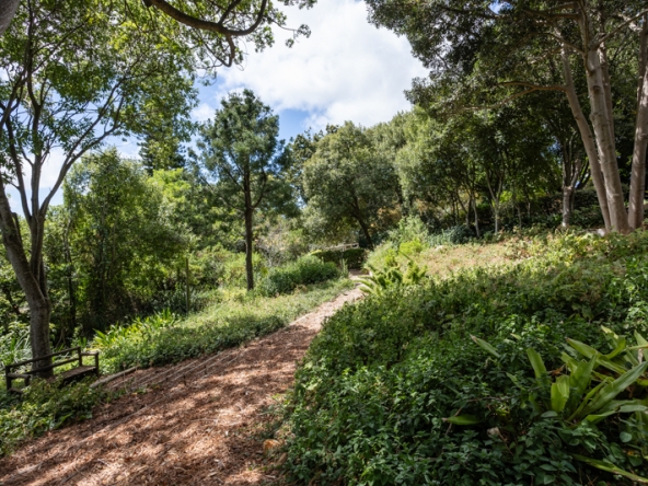 041-2026 AS Serenity Gardens