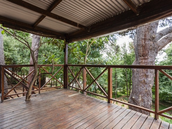 062-2026 AS Serenity Gardens