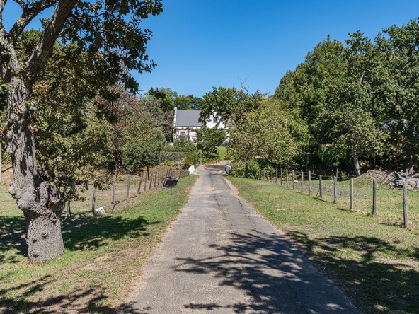 125-2026 AS Bluegum Grove