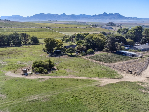 132-2026 AS Bluegum Grove