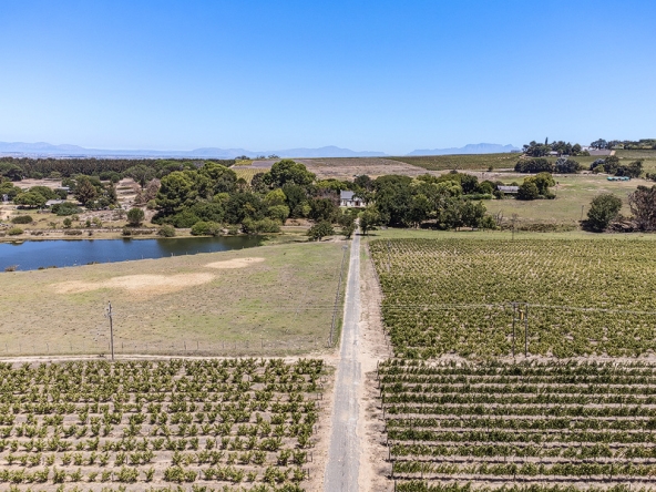 144-2026 AS Bluegum Grove